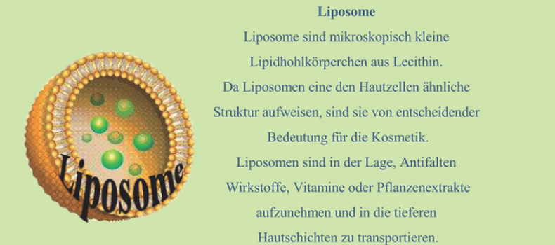 liposome