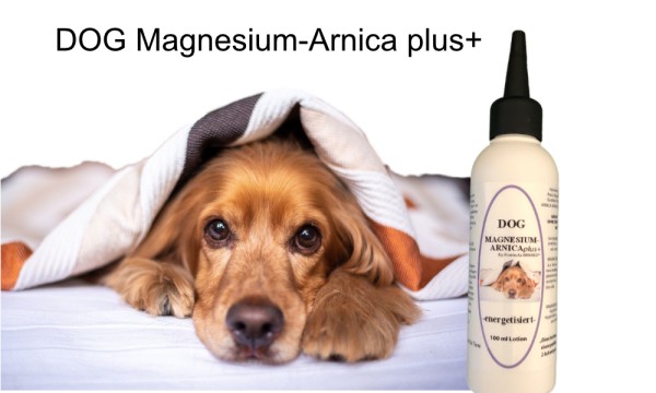 DOG MAGNESIUM-ARNICA plus+ Lotion 100 ml